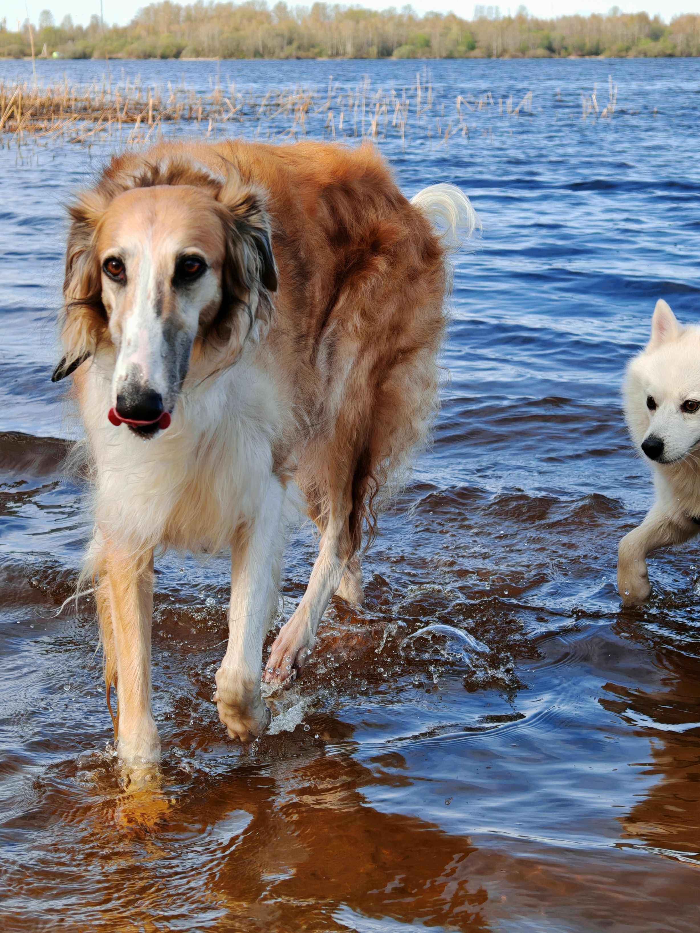 Photograph by Инна Мухина