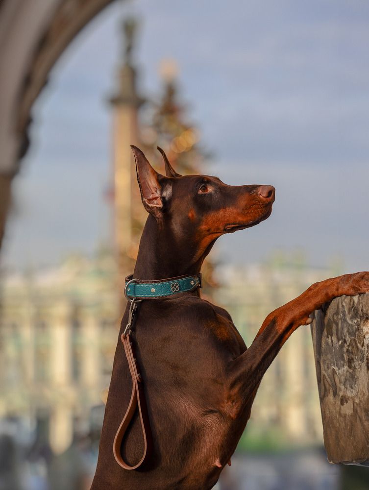 Photograph by Анастасия Ануфриева