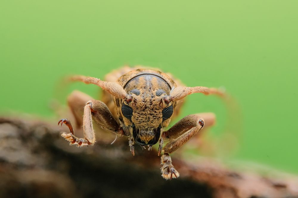 Photograph by Ngoc Hieu Bui