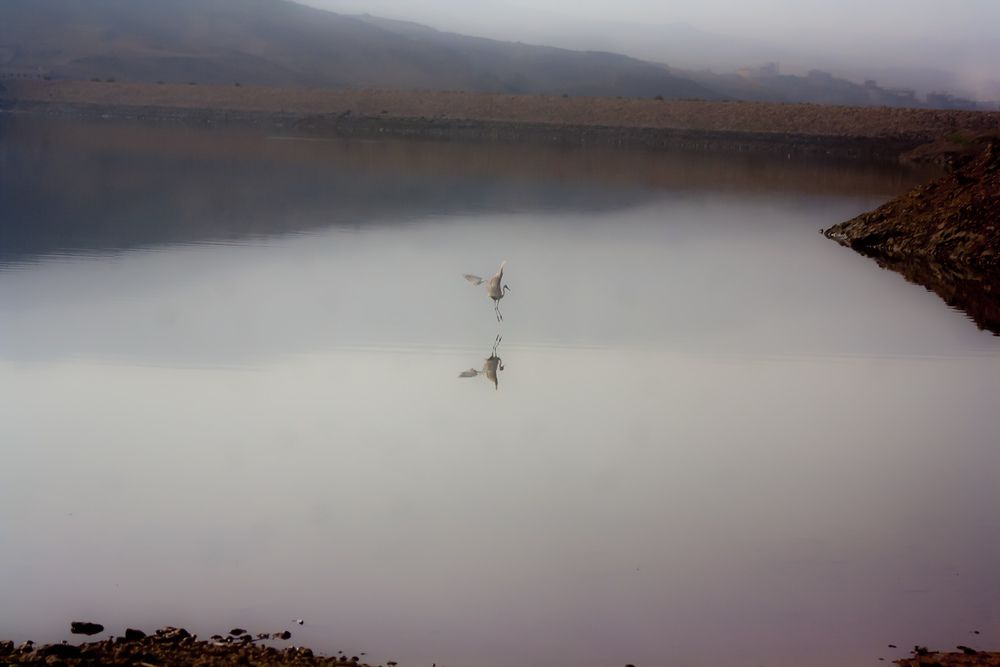 Photograph by Omar Sanad