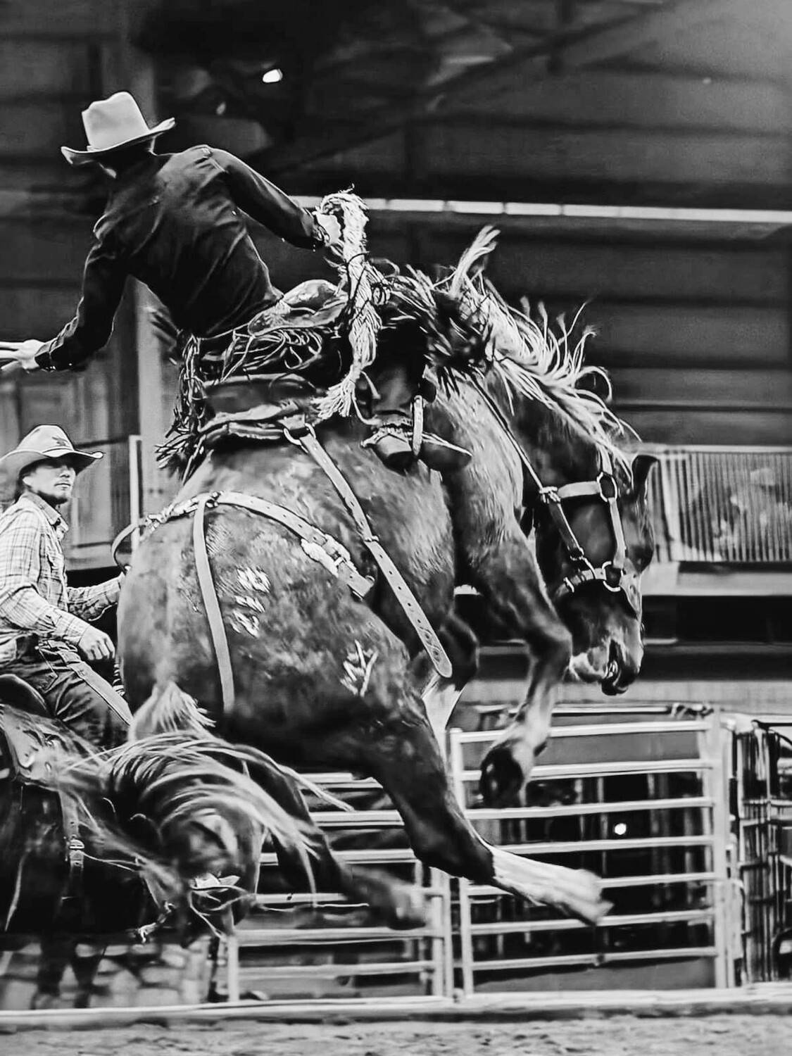 Фотография #13362488