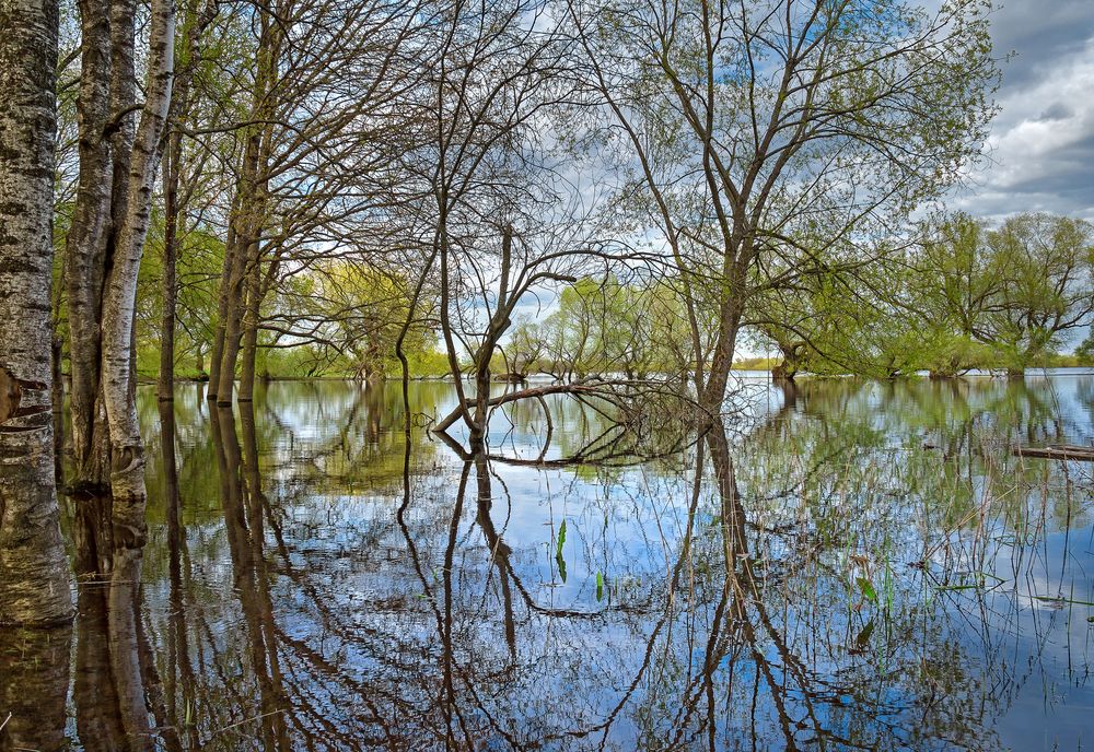 Photograph by Ольга Холкина