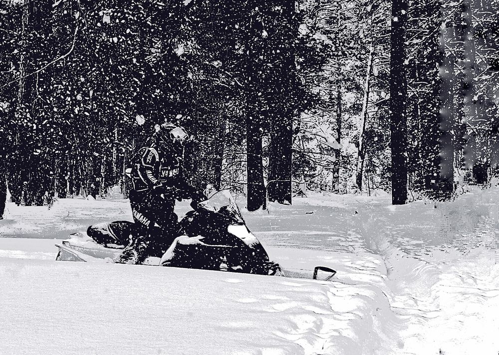 Бесстрашный гонщик