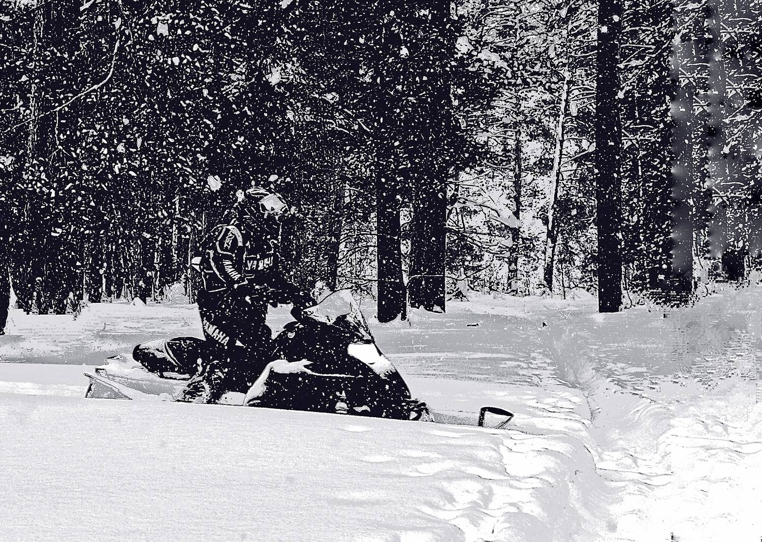 Бесстрашный гонщик