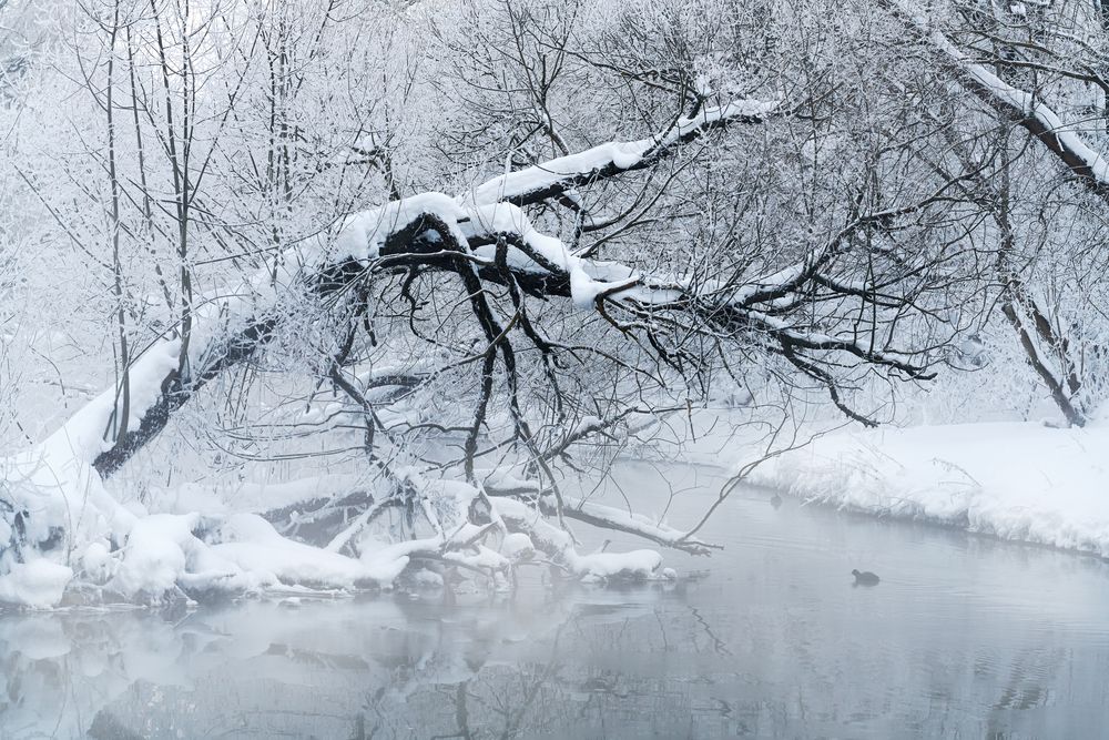 Морозное утро на Десне (Подмосковье)