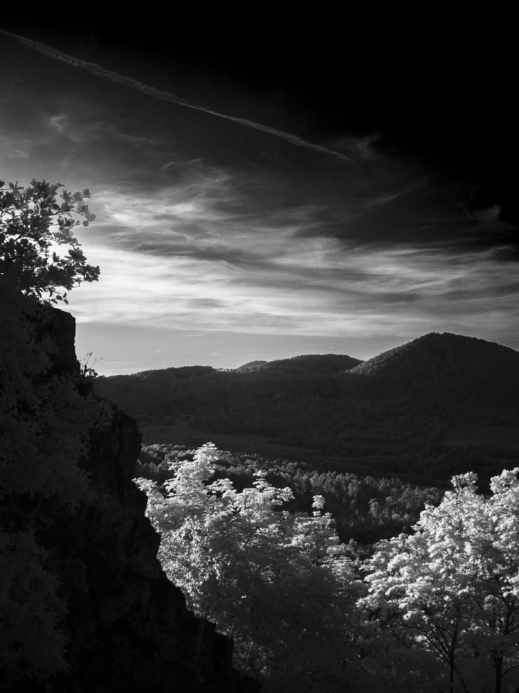 The Silver Valley