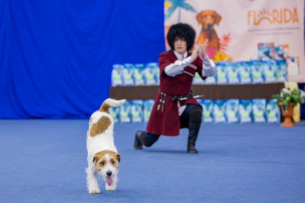 Photograph by Заглубоцкая Ольга