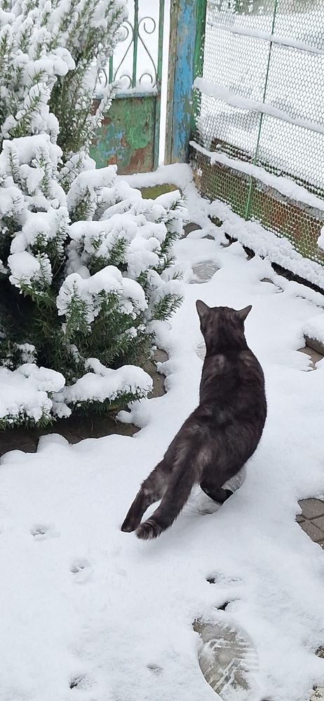 Photograph by Наталья Вялых