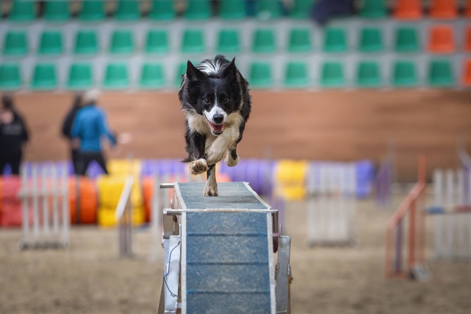 Фотография #13362675