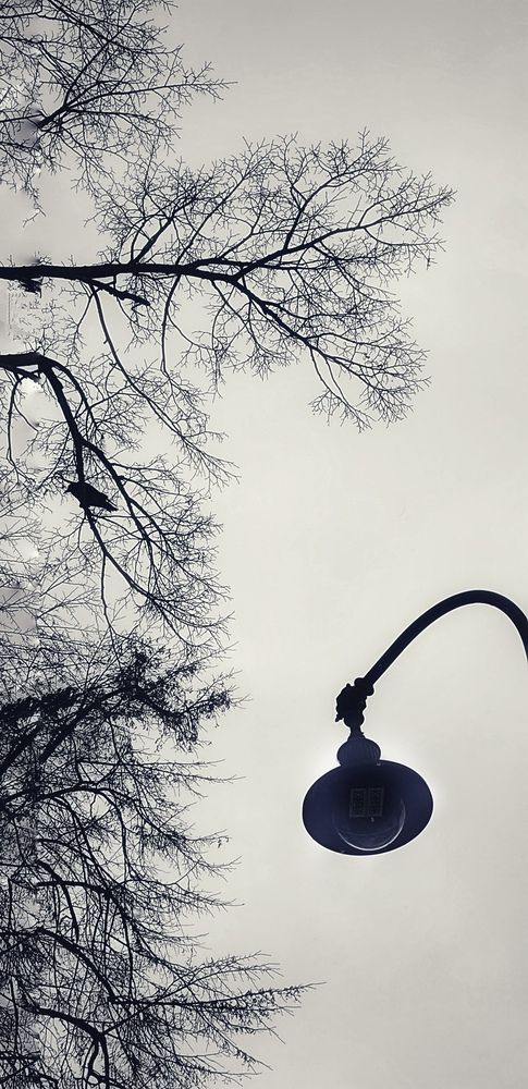 Photograph by Гузель