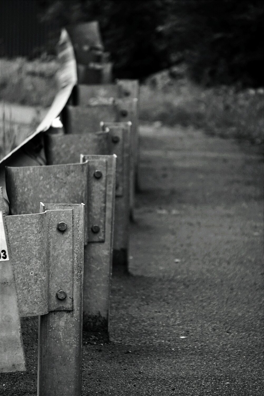 Photo #13362835