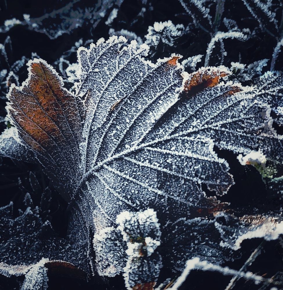 Photograph by Гузель
