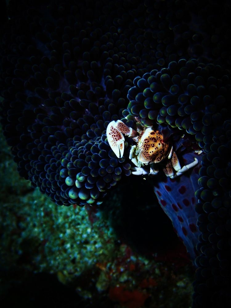 Photograph by Кирилл Леднев