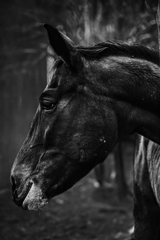 Photograph by Нелли