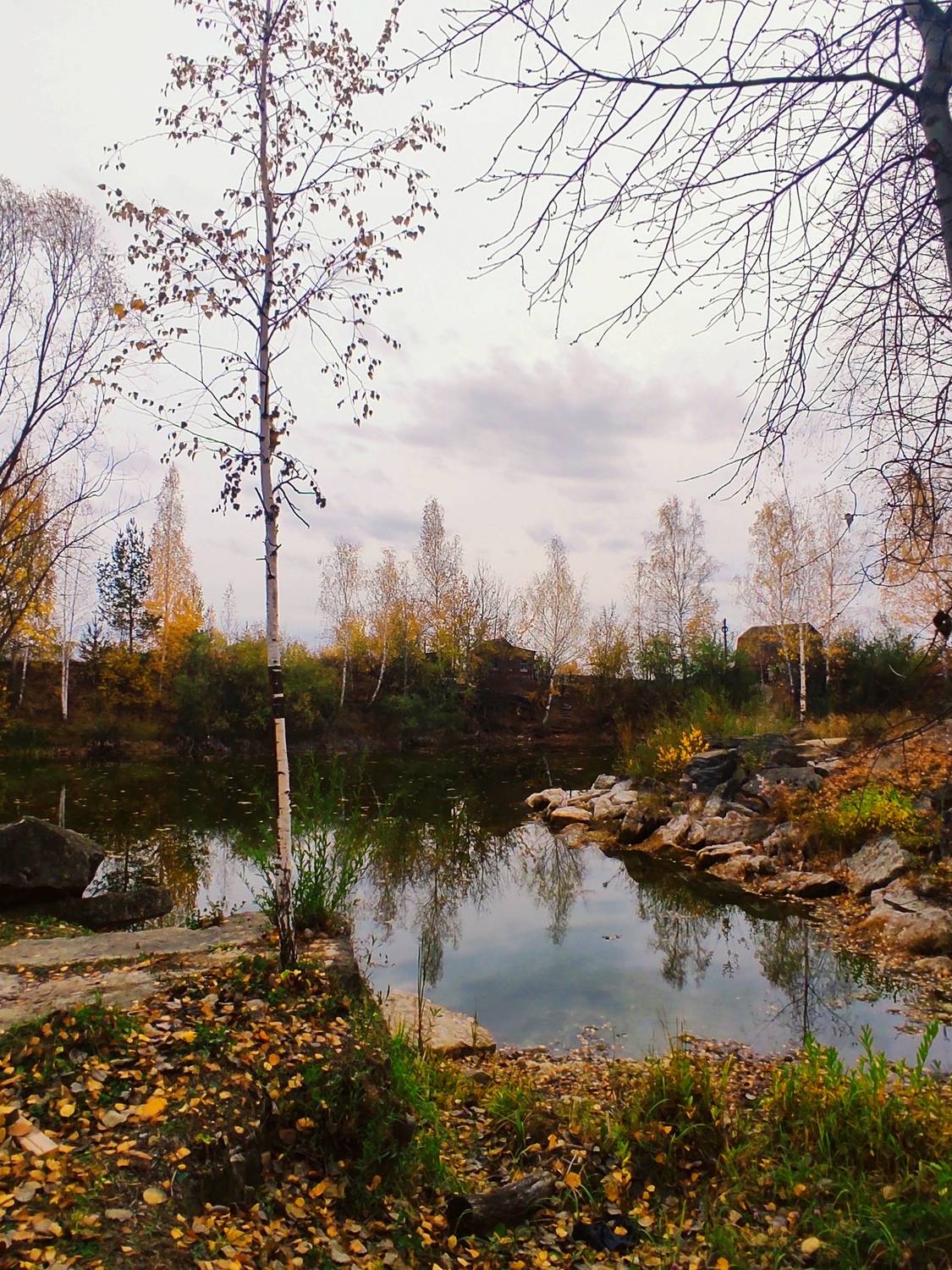 Деревенская речушка