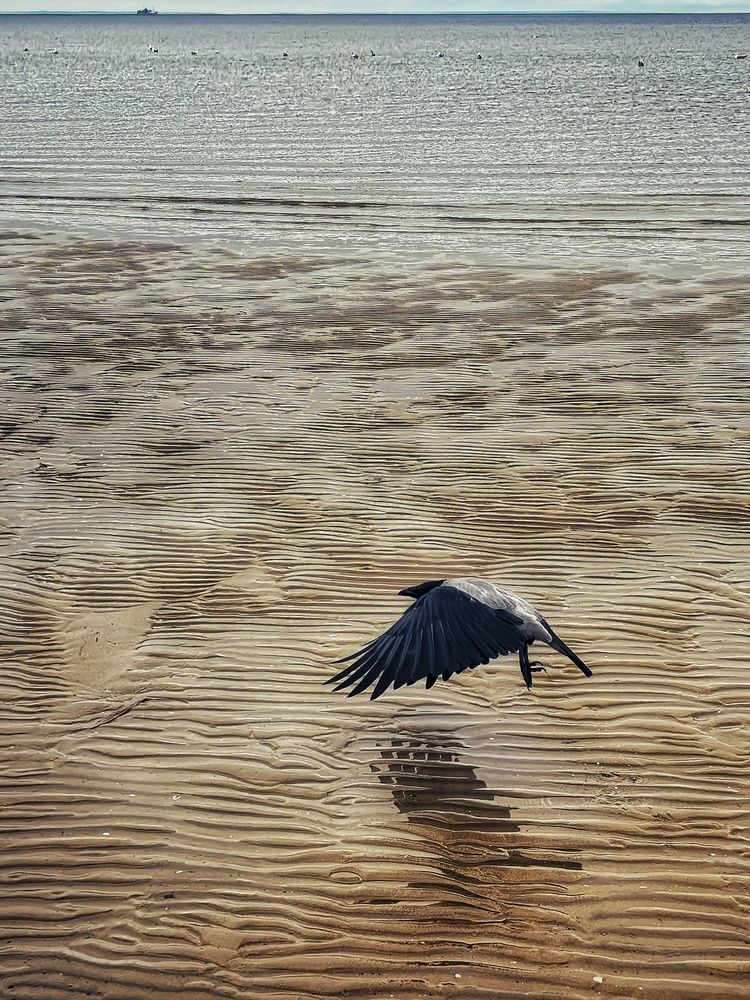 Photograph by Кирилл Леднев