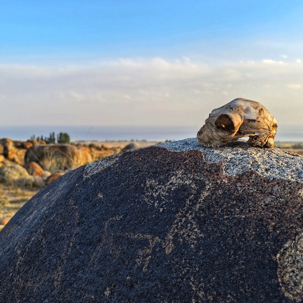 Photograph by Кирилл Леднев