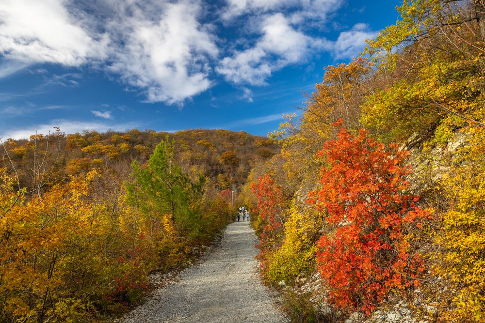 Photograph by Алексей Шматков