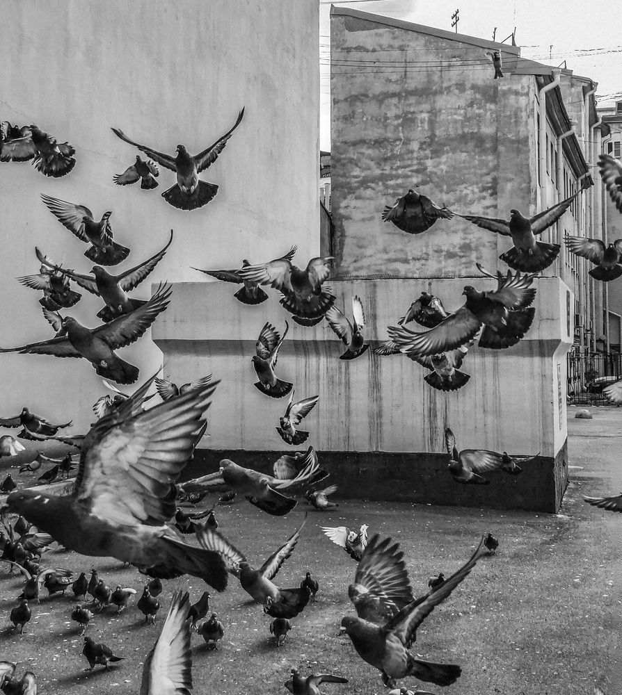 Photograph by Ольга Виноградова