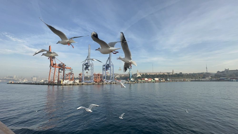 Photograph by Мария Берёзка