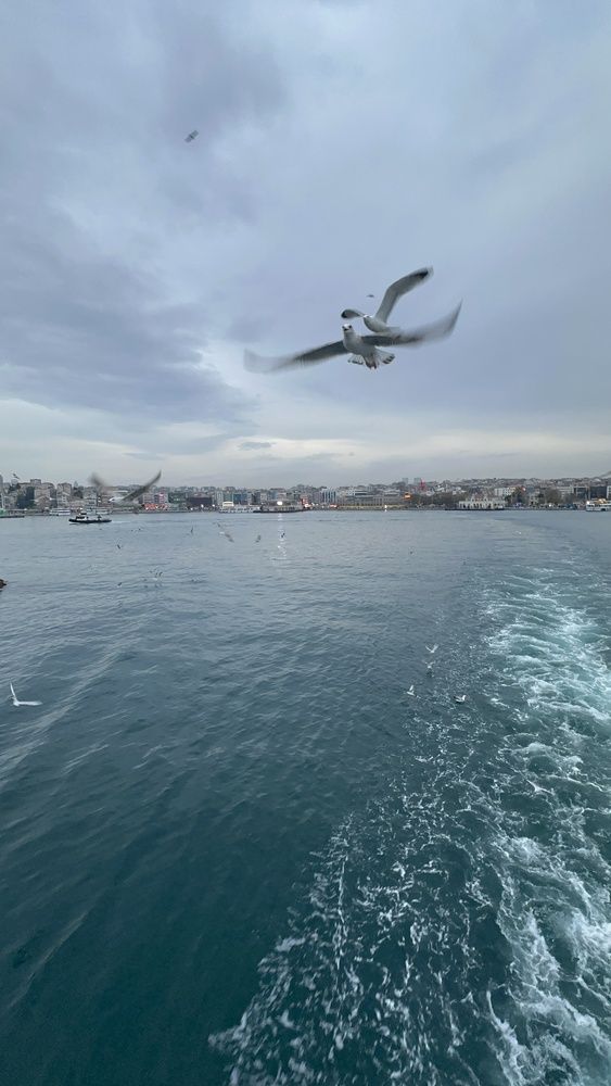 Photograph by Мария Берёзка