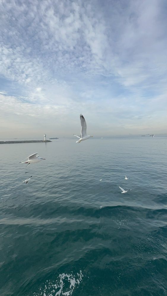 Photograph by Мария Берёзка