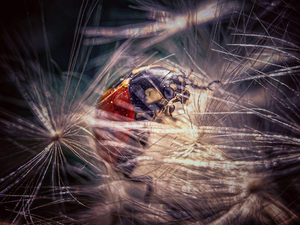 Photograph by Елена Макеева