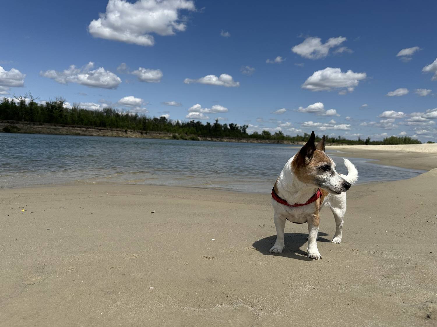Photo #13363276