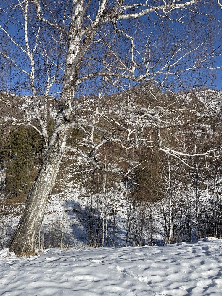 Фотография автора Юлия Шапошникова