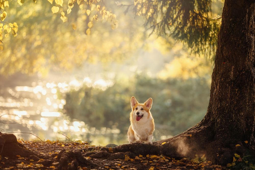 Photograph by Наталия Ватутина