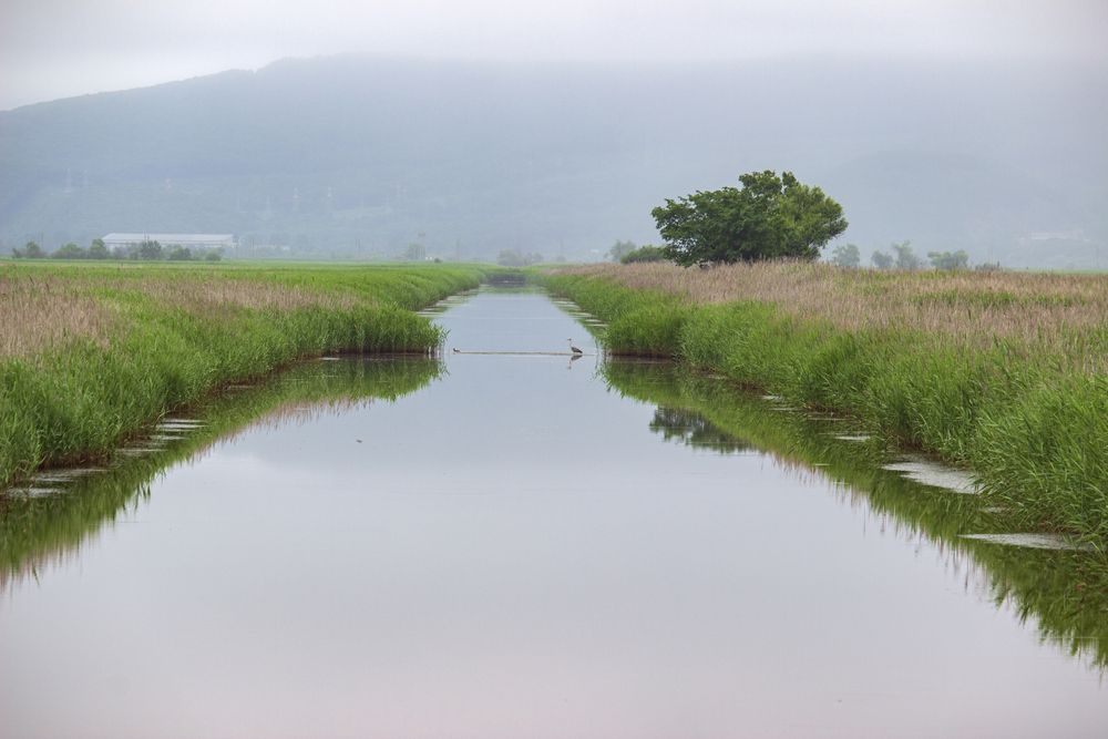 Photograph by Sergey Tsubanov