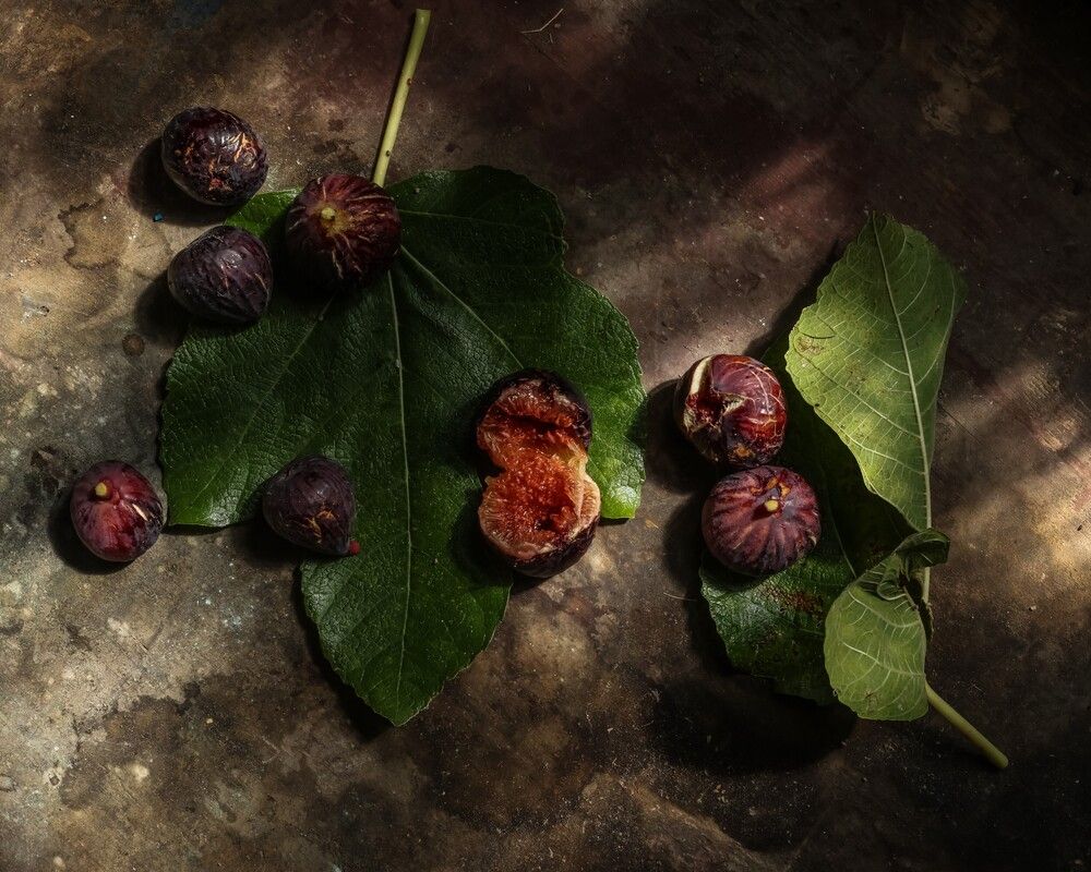 Photograph by Mayya Khrolovich