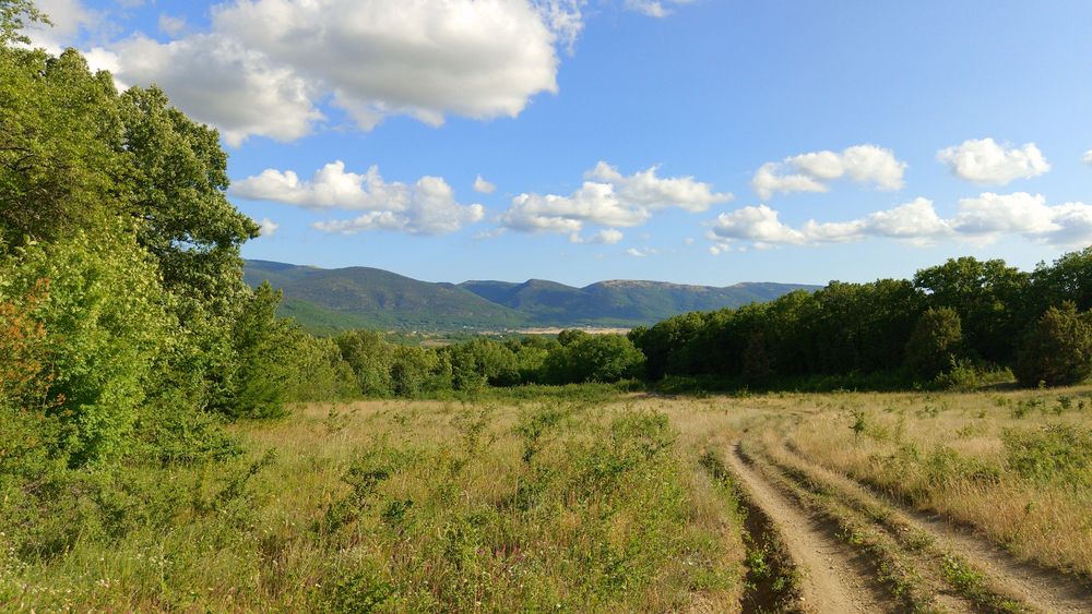 Photograph by Дмитрий