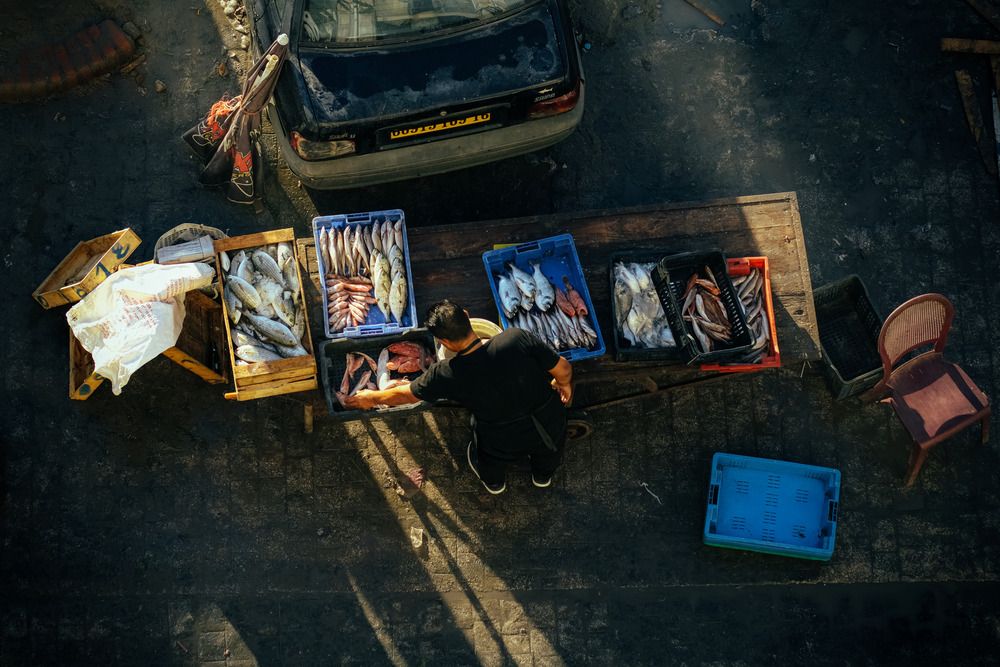 Photograph by moussaab