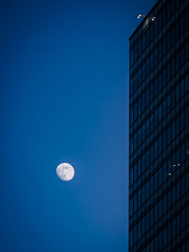 Photograph by Elizabeth Barkovskaya