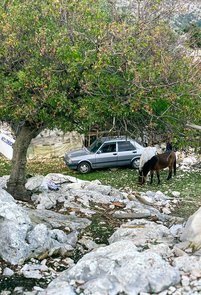 Photograph by Elizabeth Barkovskaya