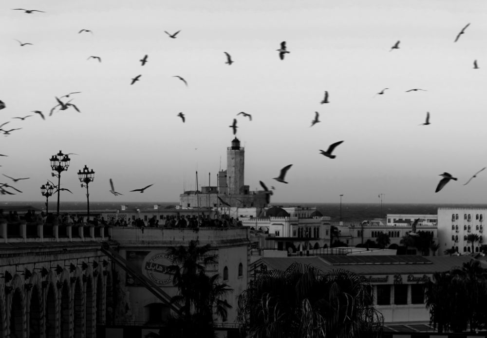 Photograph by moussaab