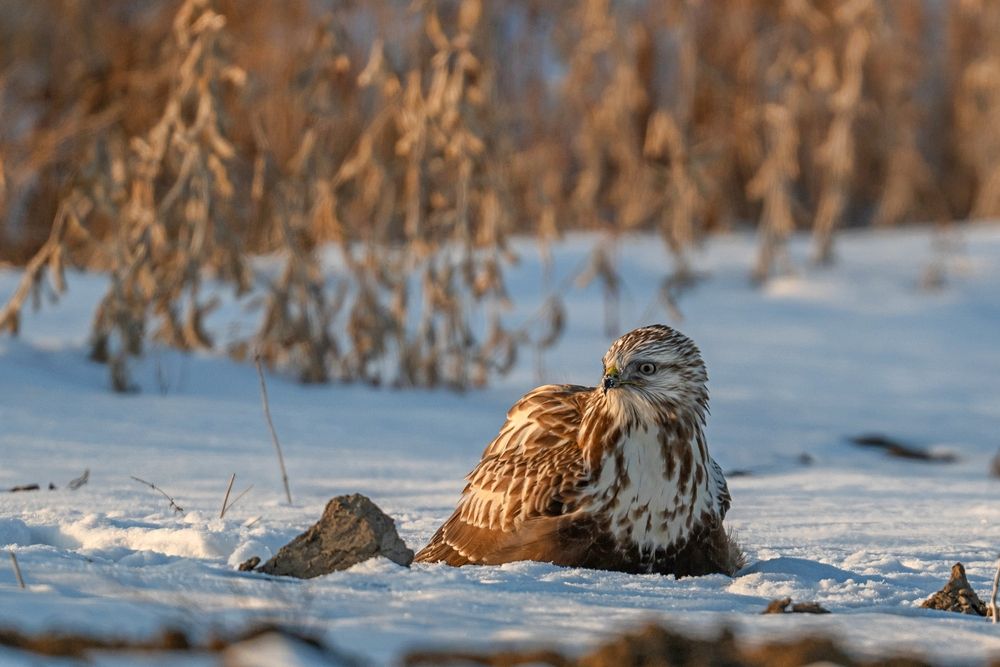 Photograph by Константин Тучин