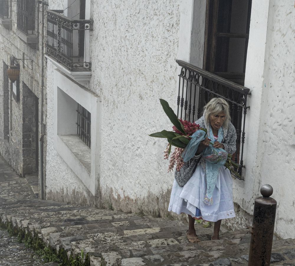 Photograph by Humberto Rico