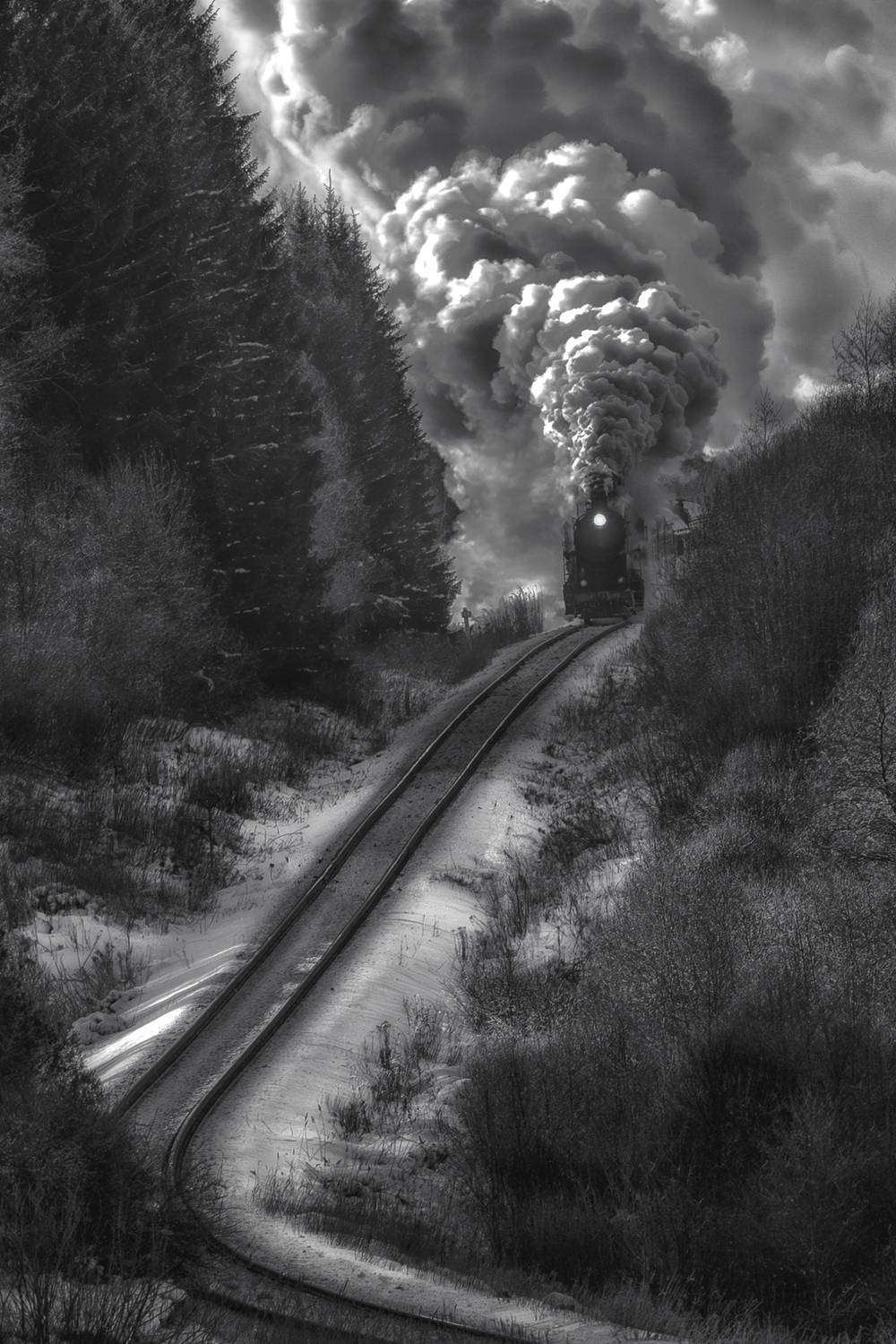 Фотография #13363680