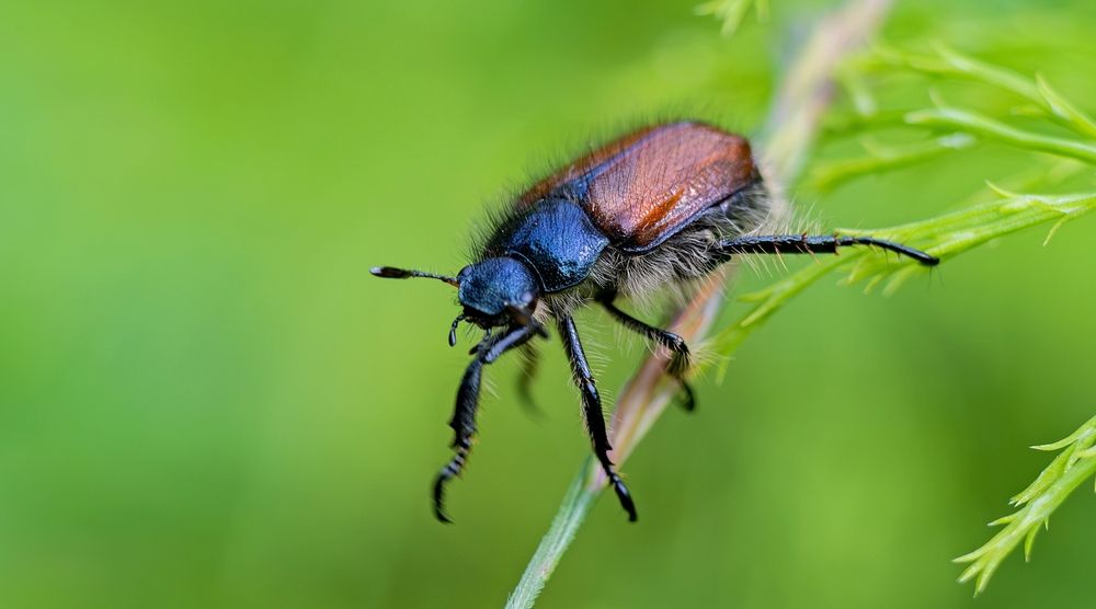 Photograph by Михаил Косолапов