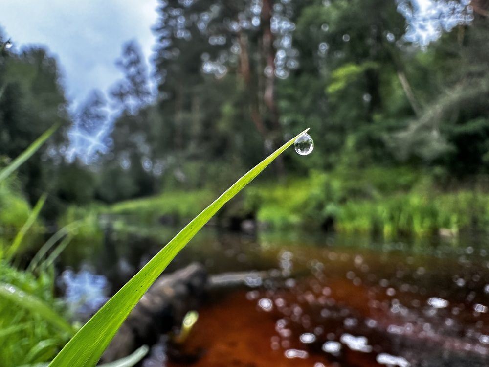 Photograph by Мария Микая