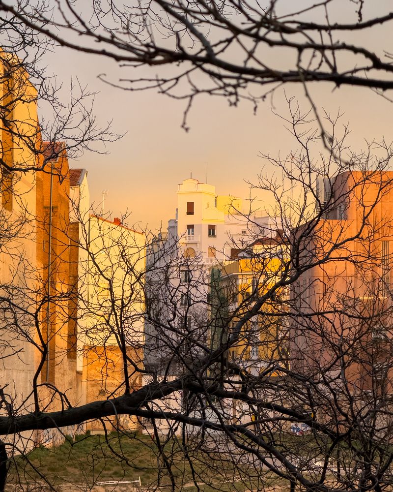 Photograph by Niko Oshvintsev