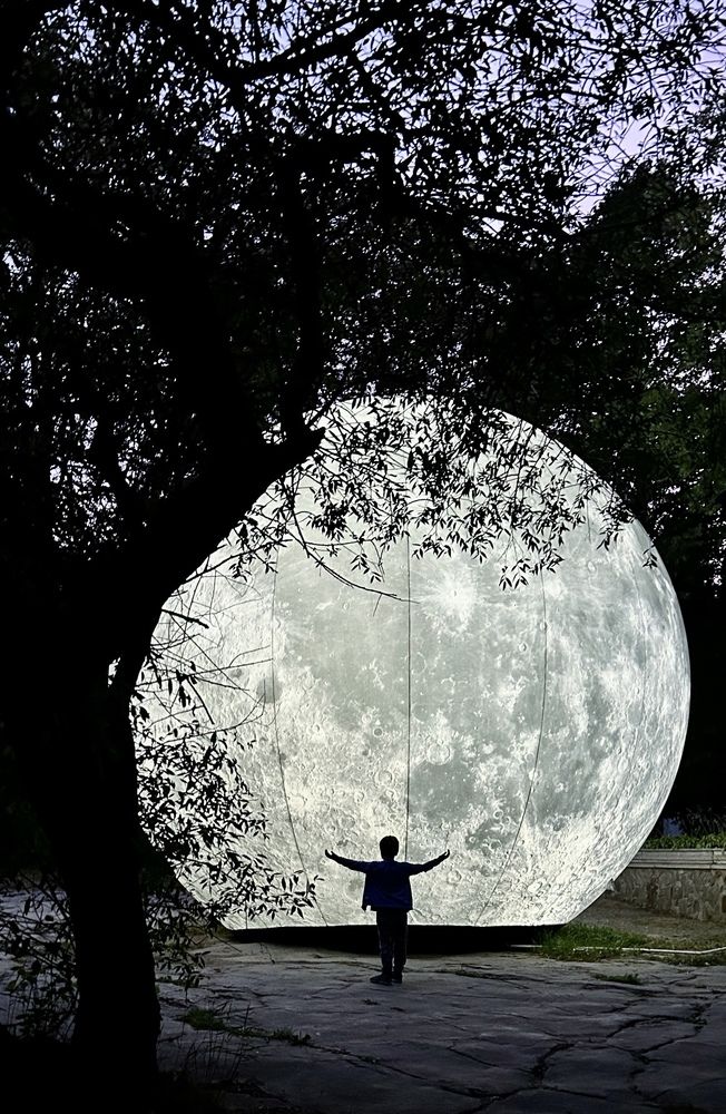 Photograph by Эльза Трисантович