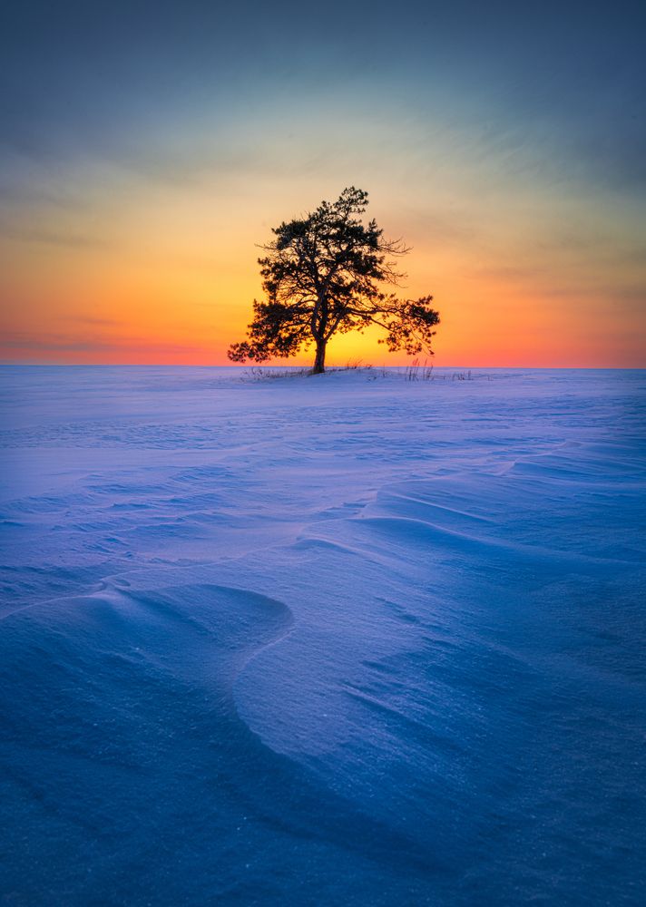 Photograph by Александр Кузнецов