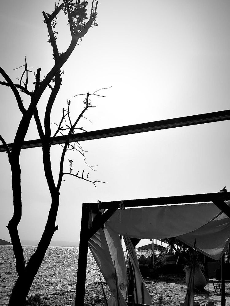 Photograph by irem sitem