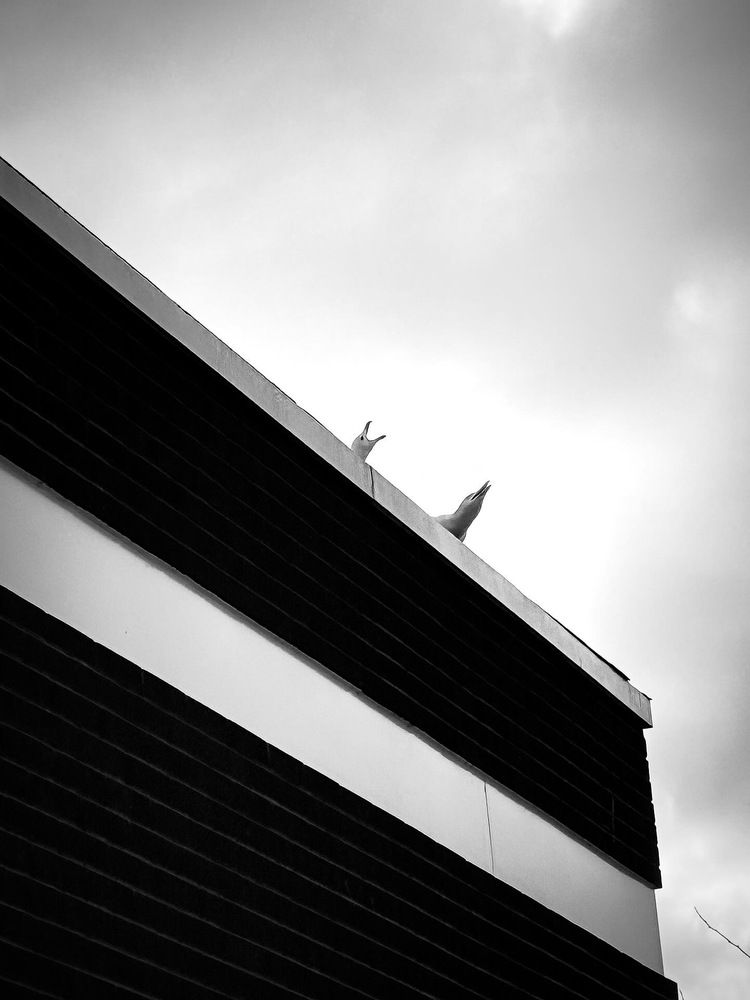 Photograph by irem sitem