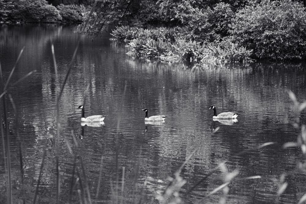 Photograph by Natallia Dahayeva