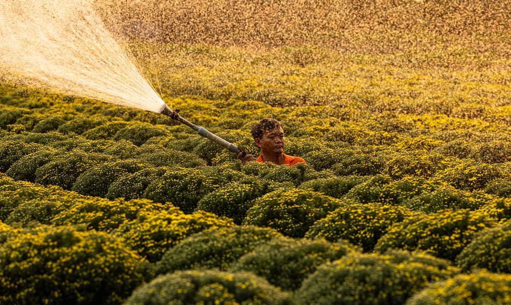 Photograph by Tuấn Nguyễn Tấn