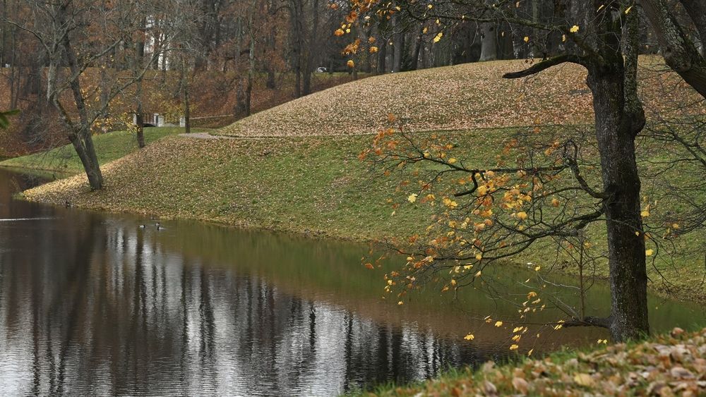 Photo #13364030